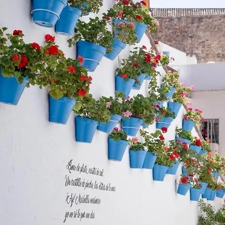 Jardines Del Mar ,casa Apolonia アパート *